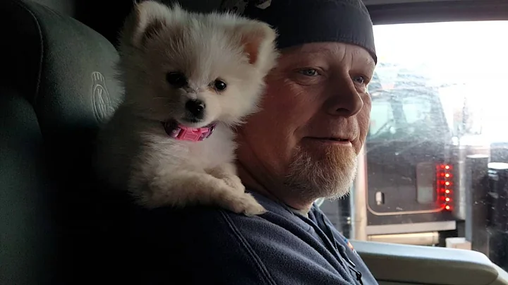 Bella driving big rig with Daddy in Wyoming April