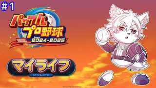 【パワプロ2024-2025／マイライフ】モルサンダープロ野球人生ものがたり第1話「プロ入りって・・・マ？！」 2025/01/03【乙凱モルフィ】
