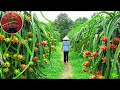 DON'T GO TO VIETNAM, CAMBODIA AND LAOS - EP 157