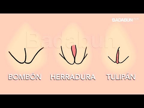 Los 4 tipos de Vaginas que existen. Mira cuál causa más placer
