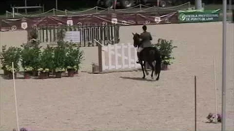 Marcia Wakeman riding Tostao - Style Section.  Wor...