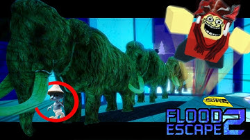 Funniest Map in Flood Escape 2 Wins 1000 Robux