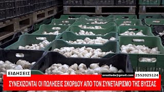 ΚΕΝΤΡΙΚΟ ΔΕΛΤΙΟ  25-8-25