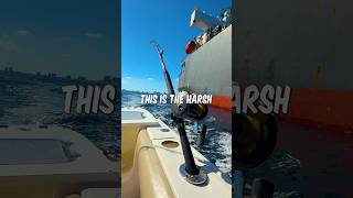 The HARSH Reality Of Deep Sea Fishing… #fishing #shorts