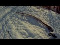 Охота в Узбекистане.  Охота на фазана первый снег
