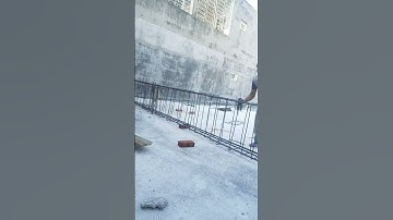 cot pha xuân hùng !thi công móng tren mái! tại anlu thủy nguyên hai phòng! 0399136986