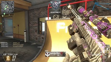 Black Ops 2 Reload Cancel Quad Feed DSR Thermal Team Death Match #StanceXS @Stance