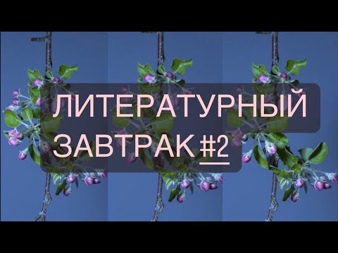 Литературный завтрак #2