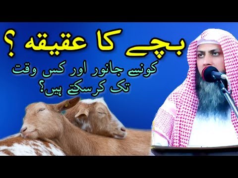 Bachy Ka Aqeqa Kerna? | Naam Rekhna? | Latest Urdu Bayan | Qari Sohaib Ahmed Meer Muhammadi