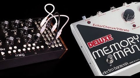 MOOG MOTHER 32 + DELUXE MEMORY MAN