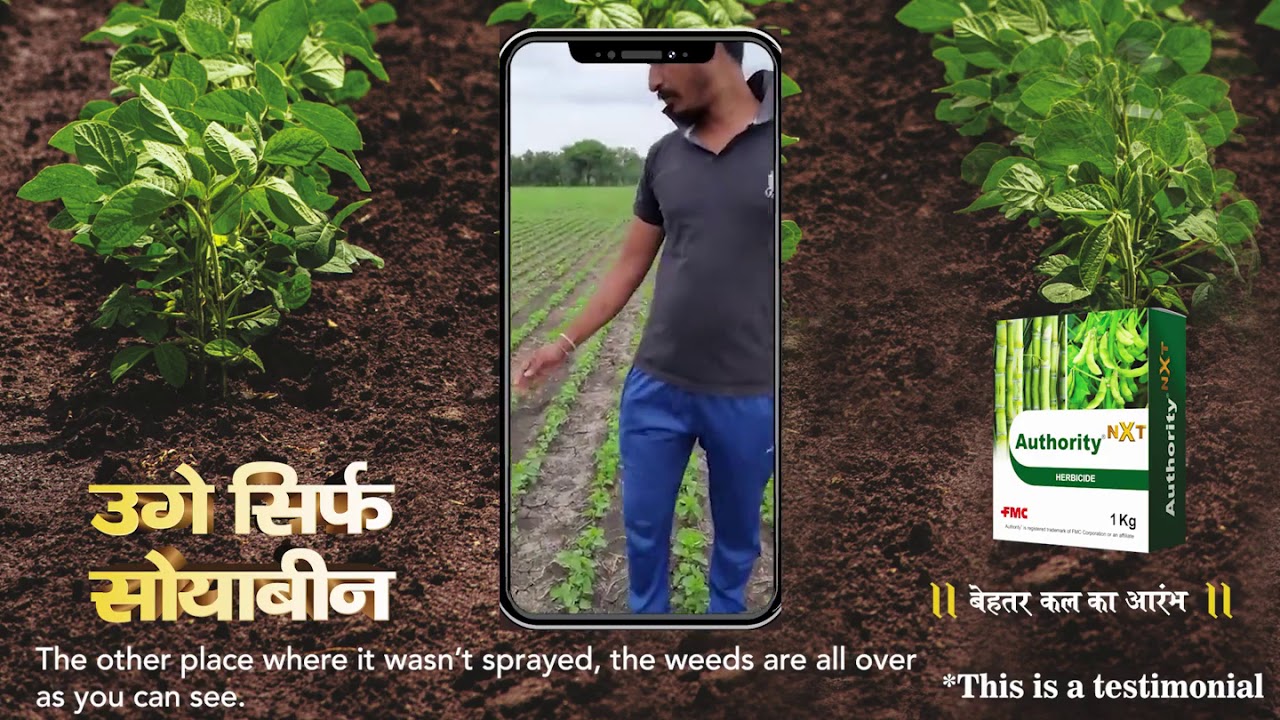 Authority® NXT in Soybean (Hindi) FMC YouTube