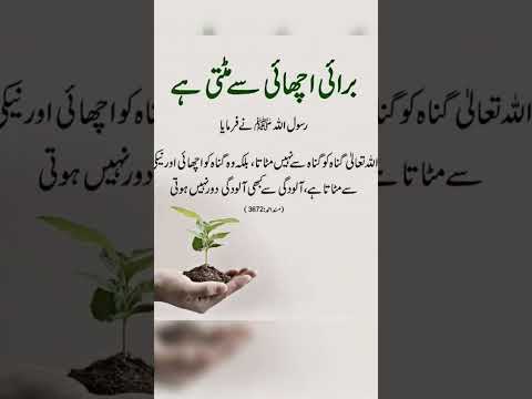 Allah bless you 💕