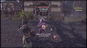 Eso playing the lute