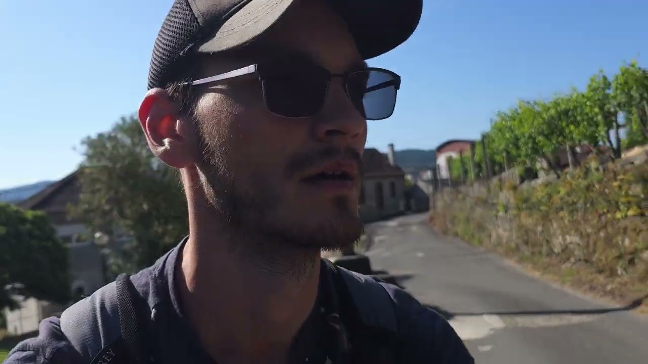 Day 8 of the Camino Journey: From Redondela to Pontevedra