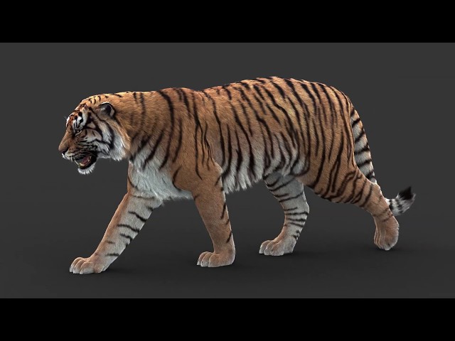 Tiger leva tigre 3D para as pistas do SLS Super Crown - Marcas Mais