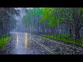 Forte pluie pour dormir profondment  bruit de la pluie et tonnerre dans la fort brumeuse la nuit