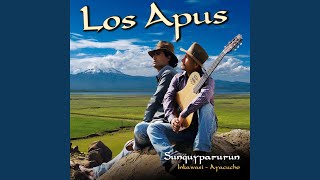 Video thumbnail of "Los Apus - Dime Quien"