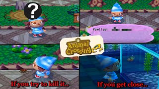 5 Cool Secret Things That Happen in the Museum in Animal Crossing e+