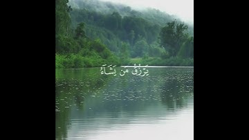 ﴿اللَّهُ لَطِيفٌ بِعِبَادِهِ يَرْزُقُ مَن يَشَاءُ ۖ وَهُوَ الْقَوِيُّ الْعَزِيزُ﴾ [ الشورى:الآية 19]