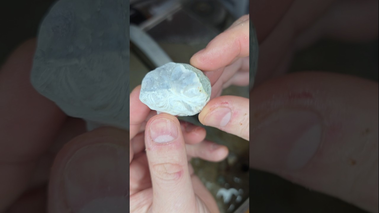 Really Cool Sagenite Agate From Nova Scotia Cut Open #agate #sageniteagate #gemstone