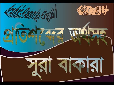 ভিডিও: সাথীটি কোথা থেকে এসেছে এবং শক্ত শব্দটির অর্থ কী