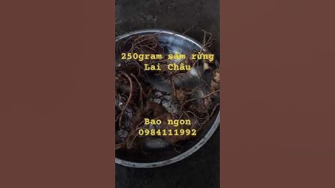 Dân vừa tìm được 250gram sâm rừng tự nhiên , chuẩn sâm mường tè thơm phức🌿Củ nào cũng từ 10-15 tuổi