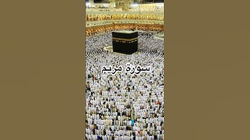 #quran #explore #القرآن_الكريم #الاردن #الامارات #السعودية #الكويت #قطر #ayatul_kursi #سورة_الملك
