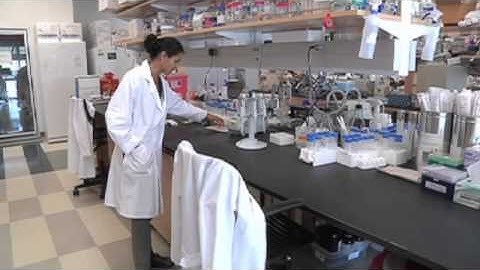 Researchers: 1 in 10 Americans may have brain parasite