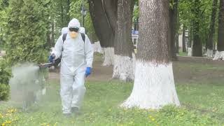 Дезінсекція від кліщів