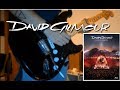 Comfortably Numb | Second solo (David Gilmour Live at Pompeii 2016 Cover)