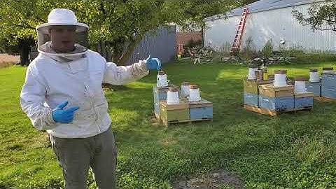 Moving Bees A Short Distance