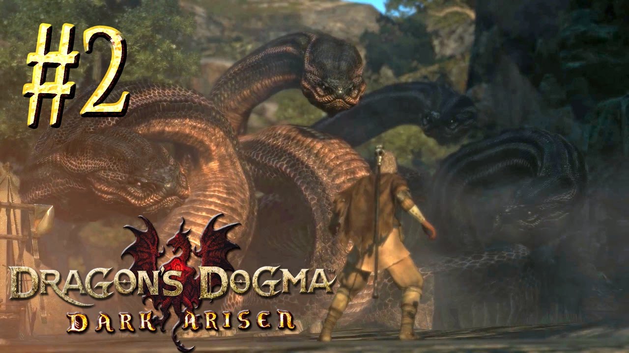 Dragons dogma 2 тритоновая настойка. Dragon's Dogma 2 дракон. Dragon's Dogma Dark Arisen (2013) гидра. Dragon's Dogma Dark Arisen битва с драконом. Гидра Dark Arisen.