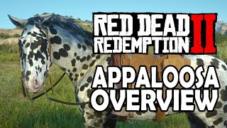 Appaloosa Overview | Red Dead Redemption 2 Horses