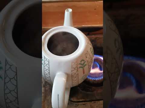 شاي مخدر
