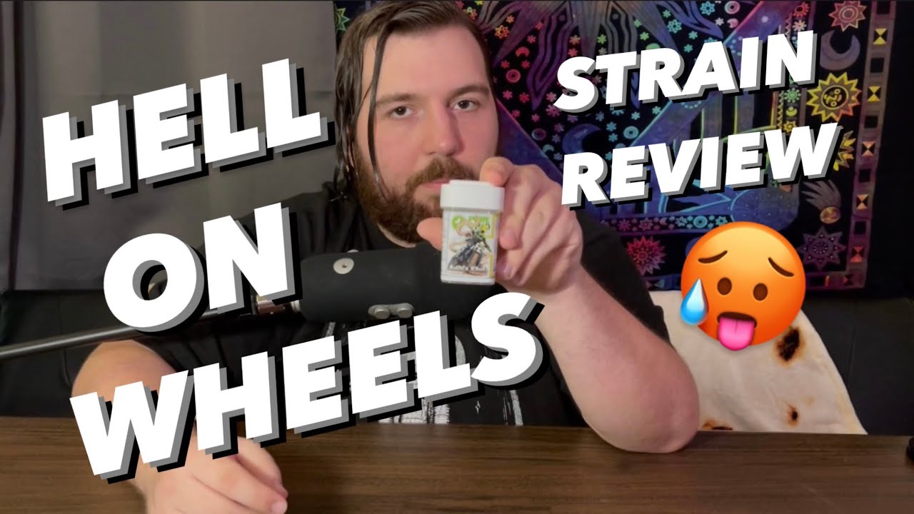 HOW IMPRESSIVE IS THIS HYBRID?? HELL on WHEELS Strain Review YouTube