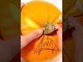 Epic Pumpkin Design