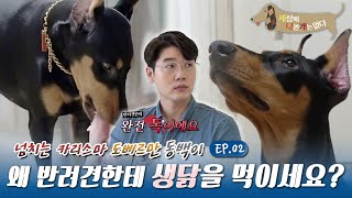 세상에 나쁜 개는 없다 - 진격의 입질犬, 동백이_#002