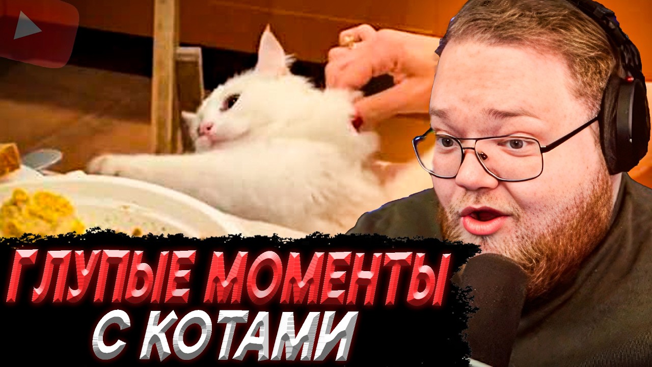 T2x2 СМОТРИТ - ГЛУПЫЕ МОМЕНТЫ С КОТАМИ | Кошачий Мозг 7%