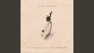 The Tragedy of the Commons