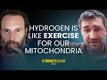 Is Molecular Hydrogen Your Missing Energy Link Alex Tarnava Is Molecular Hydrogen Your Missing Energy Link Alex Tarnava