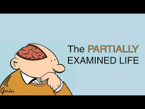 Partially Examined Life #301: Is Abortion Morally Permissible? (Part Three)