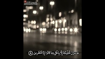 قران كريم بصوت هزاع البلوشي | حالات واتس اب دينية حالات واتس قران كريم