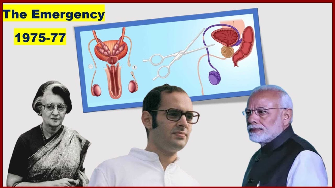 India The Emergency and the Politics of Mass Sterilization