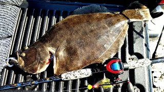 A Quick Guide to Target Fluke/Summer Flounder from Shore