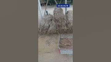 cận cảnh kỹ thuật cẩu hàng trong khu công nghiệp an toàn hiệu quả chất lượng cao