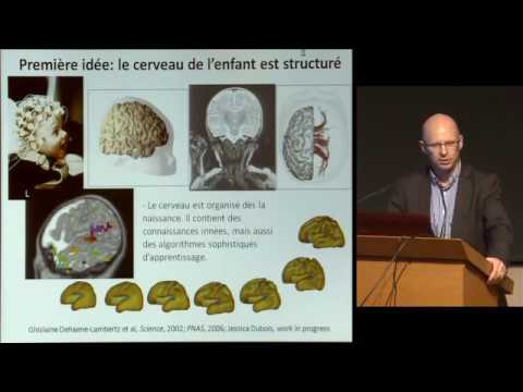 Les grands principes de l'apprentissage Stanislas Dehaene