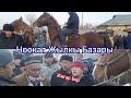 Ноокат Жылкы Базары Укмуш Кызыды Пай Пай пай 14-Ноябрь