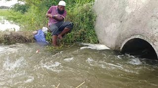 Amazing Fishing|| Abdul Sami fishing|Unique Fishing video|Awesome Fish catching||Village Fishing screenshot 4