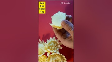 Ai nên uống trà hoa nhài, cách tỉa hoa từ củ quả #shorts