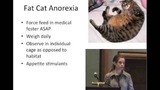 Chapter 11: Saving the Bottom 50% - Saving Homeless Cats - conference recording